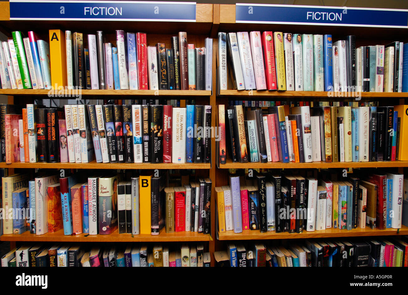 Sections Of A Book
