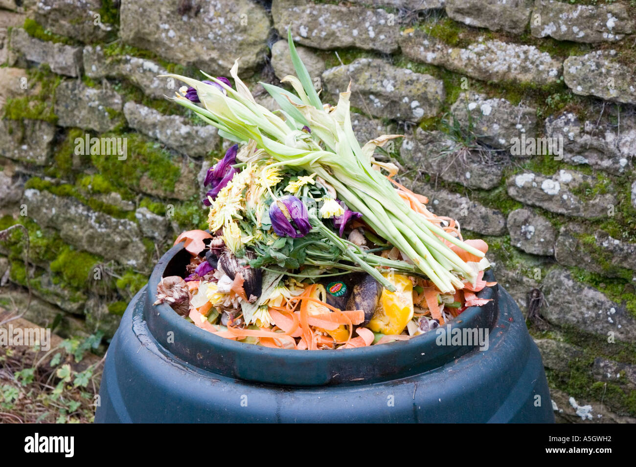 Compost bin containing rotting flowers and vegetables Stock Photo Alamy