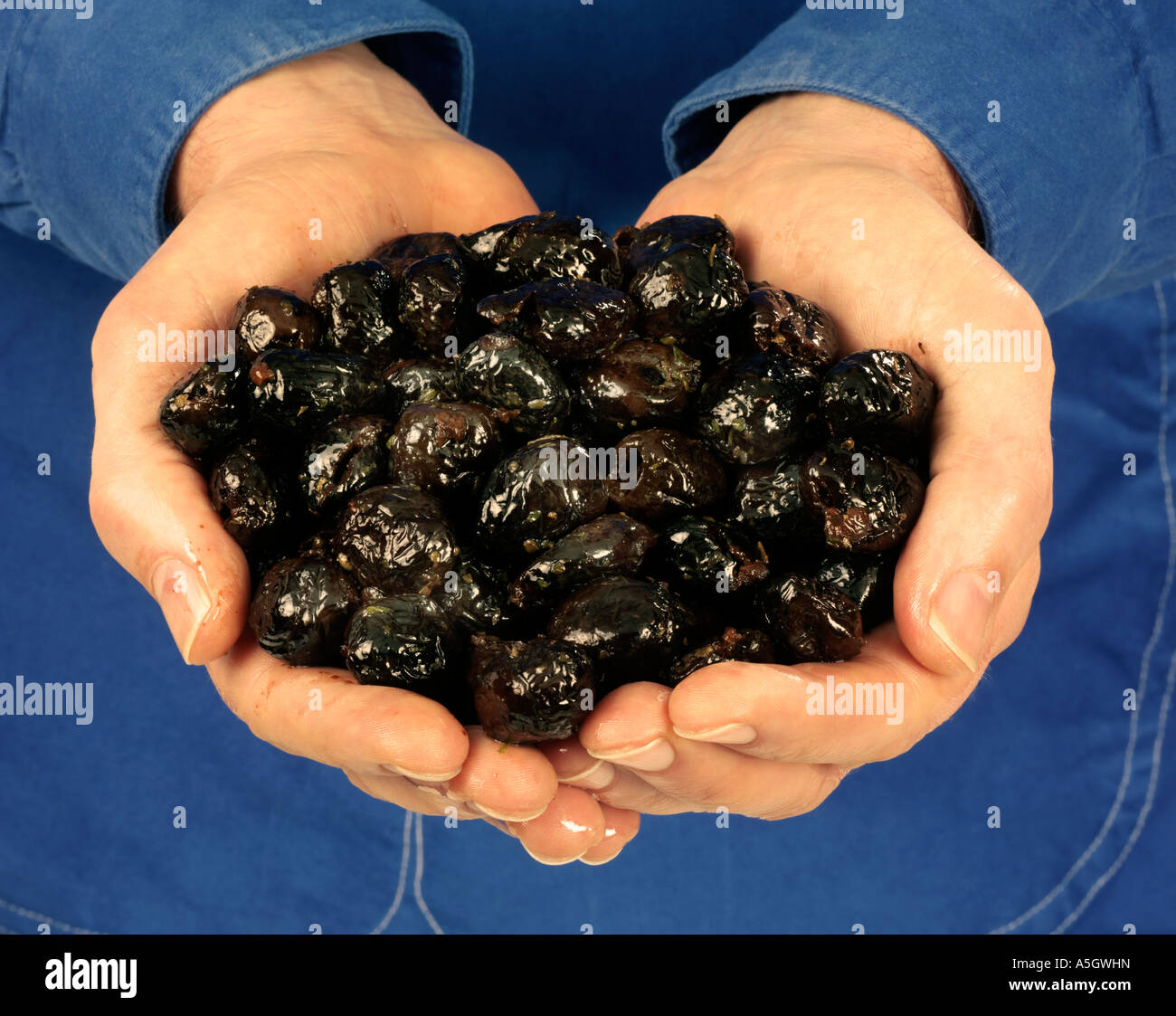Good Handful Of Ripe Olives Hand, Flora, Gathered, Worker PNG Transparent  Image and Clipart for Free Download