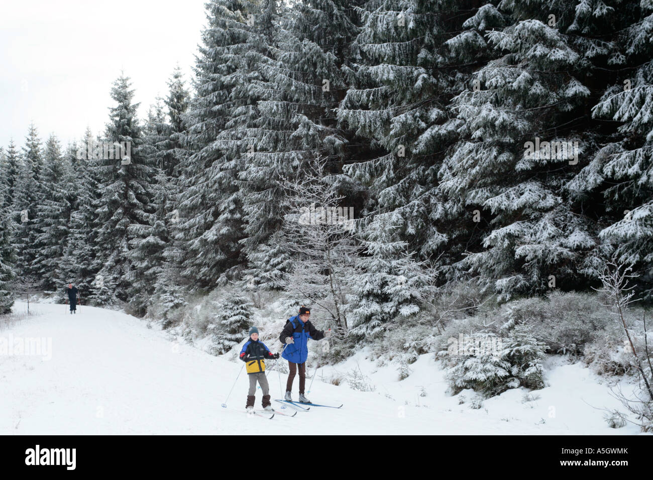 a little boy and his mother cross country skiing in the Harz Stock ...
