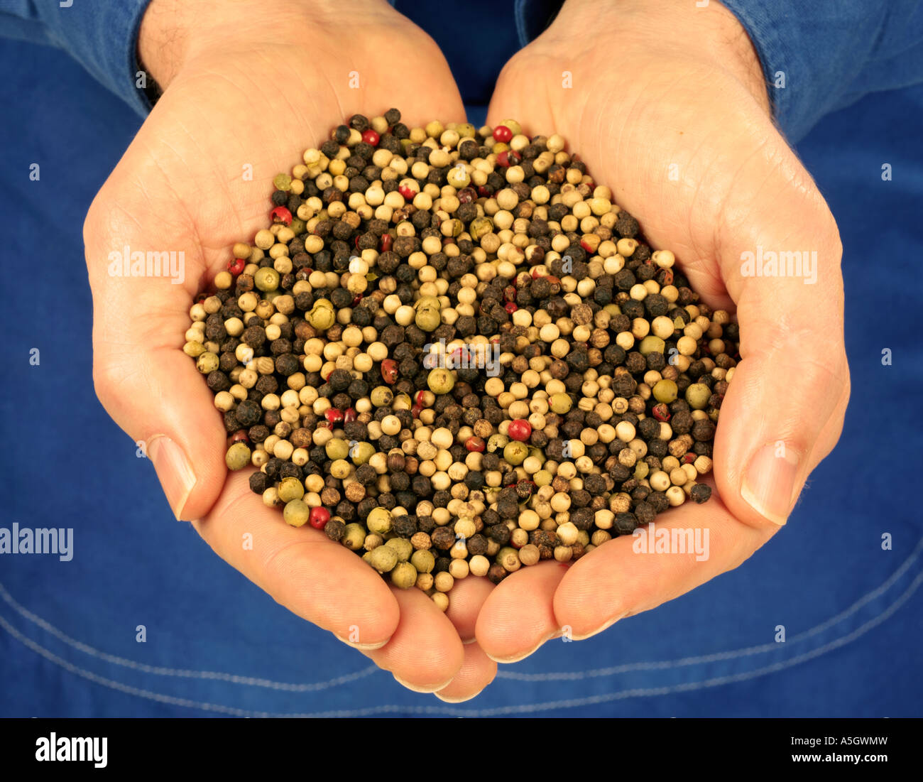 HANDFUL OF MIXED PEPPERCORNS Stock Photo Alamy