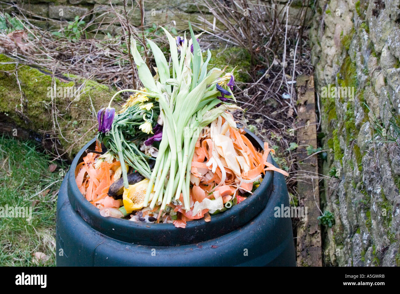 Compost bin containing rotting flowers and vegetables Stock Photo Alamy