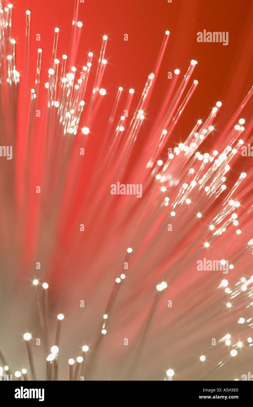 A bundle of fiber optical cables Stock Photo Alamy