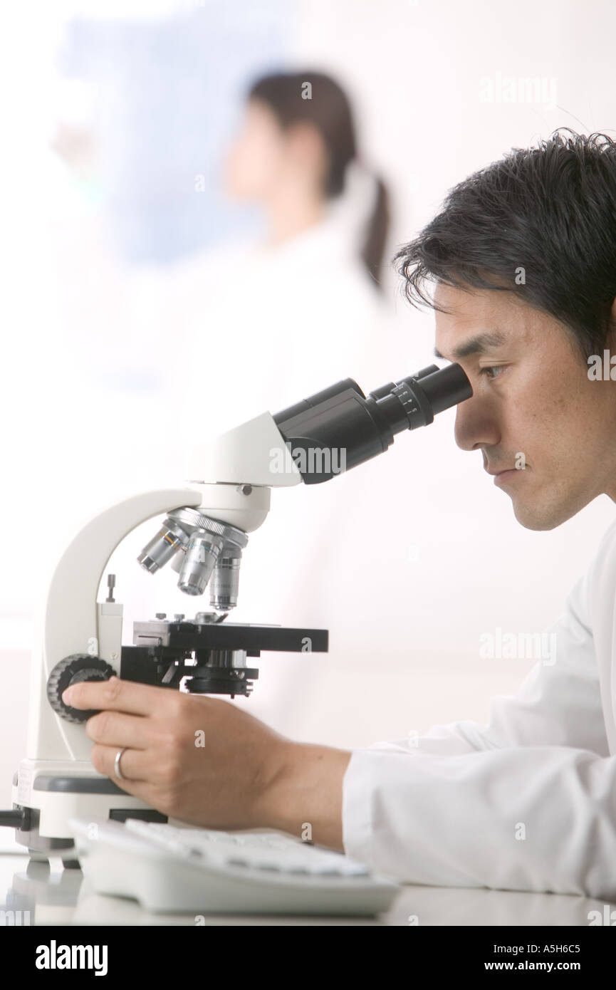Scientist looking into a microscope Stock Photo Alamy