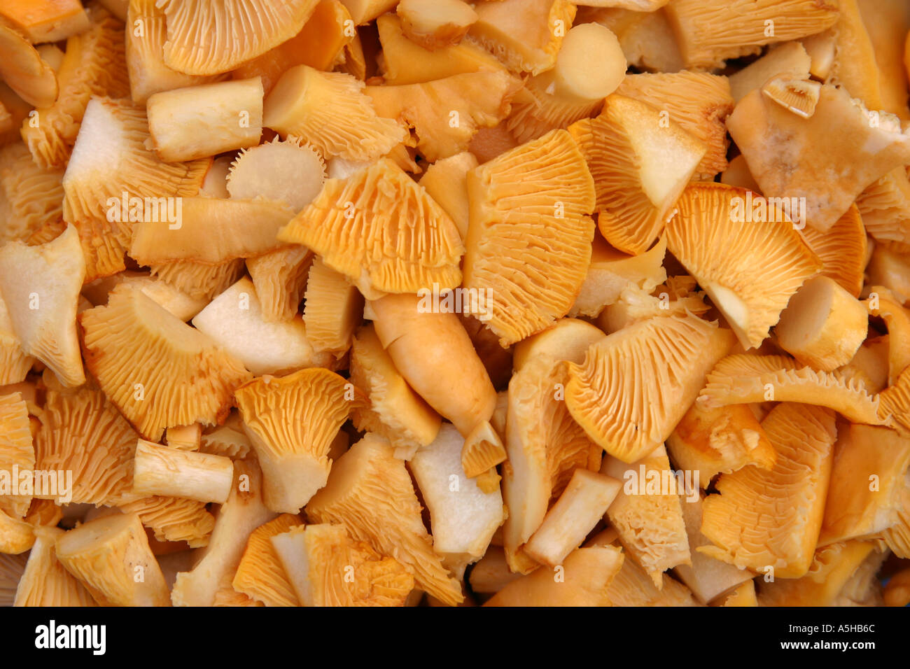 Cleaned and chopped chanterelles Stock Photo