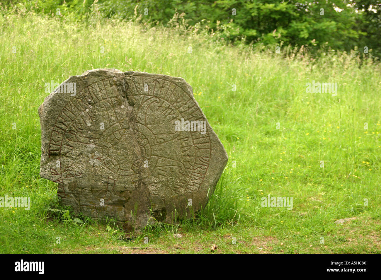 Viking rune stone Stock Photo