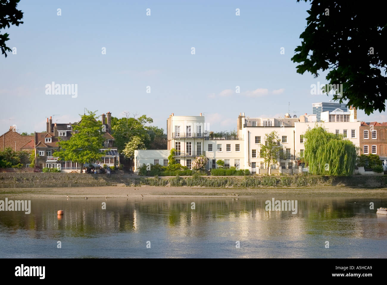 thames at chiswick Stock Photo Alamy