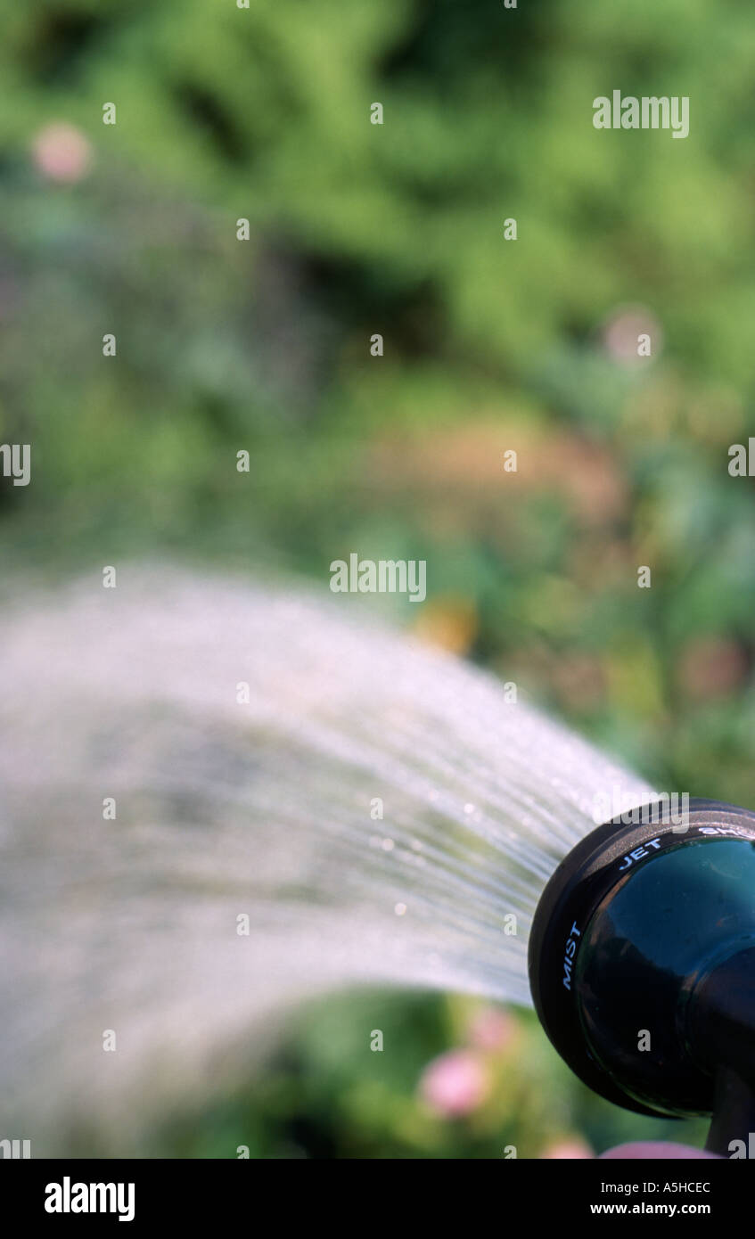 garden hose water jet Stock Photo Alamy