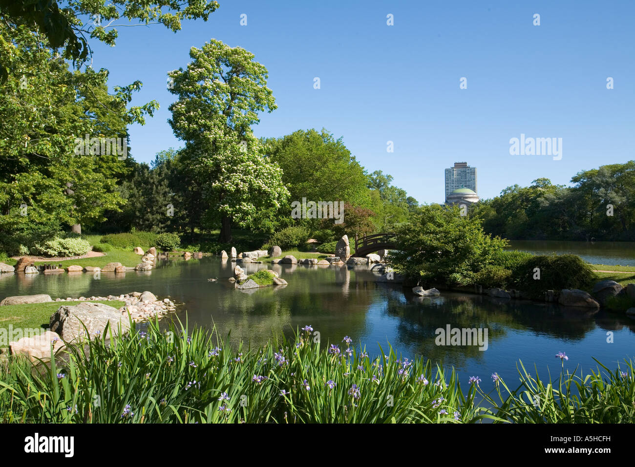 ILLINOIS Chicago Osaka Japanese Garden in Jackson Park iris along water arched bridge to island stones along waters edge Stock Photo