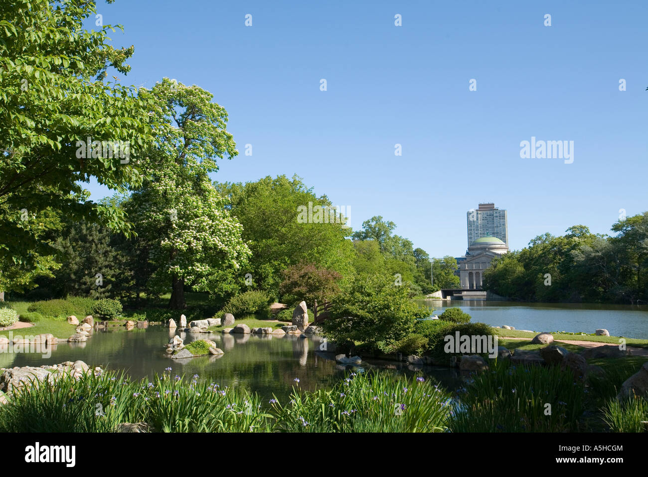 ILLINOIS Chicago Osaka Japanese Garden in Jackson Park iris bloom along shore Museum of Science and Industry dome Stock Photo