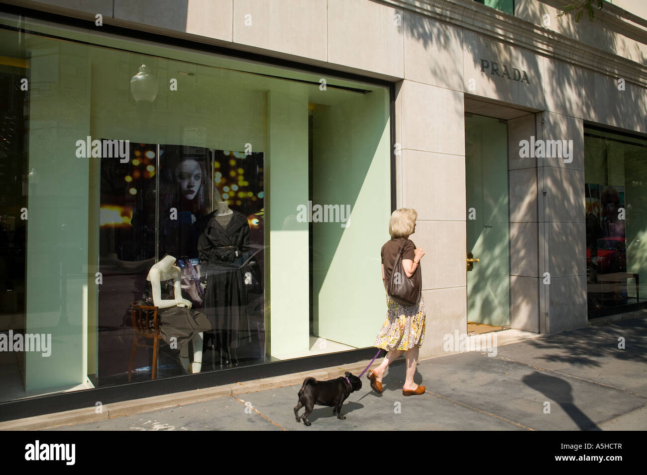 ILLINOIS Chicago Woman with black dog on leash walk past Prada store and  display windows Oak Street Gold Coast Stock Photo - Alamy
