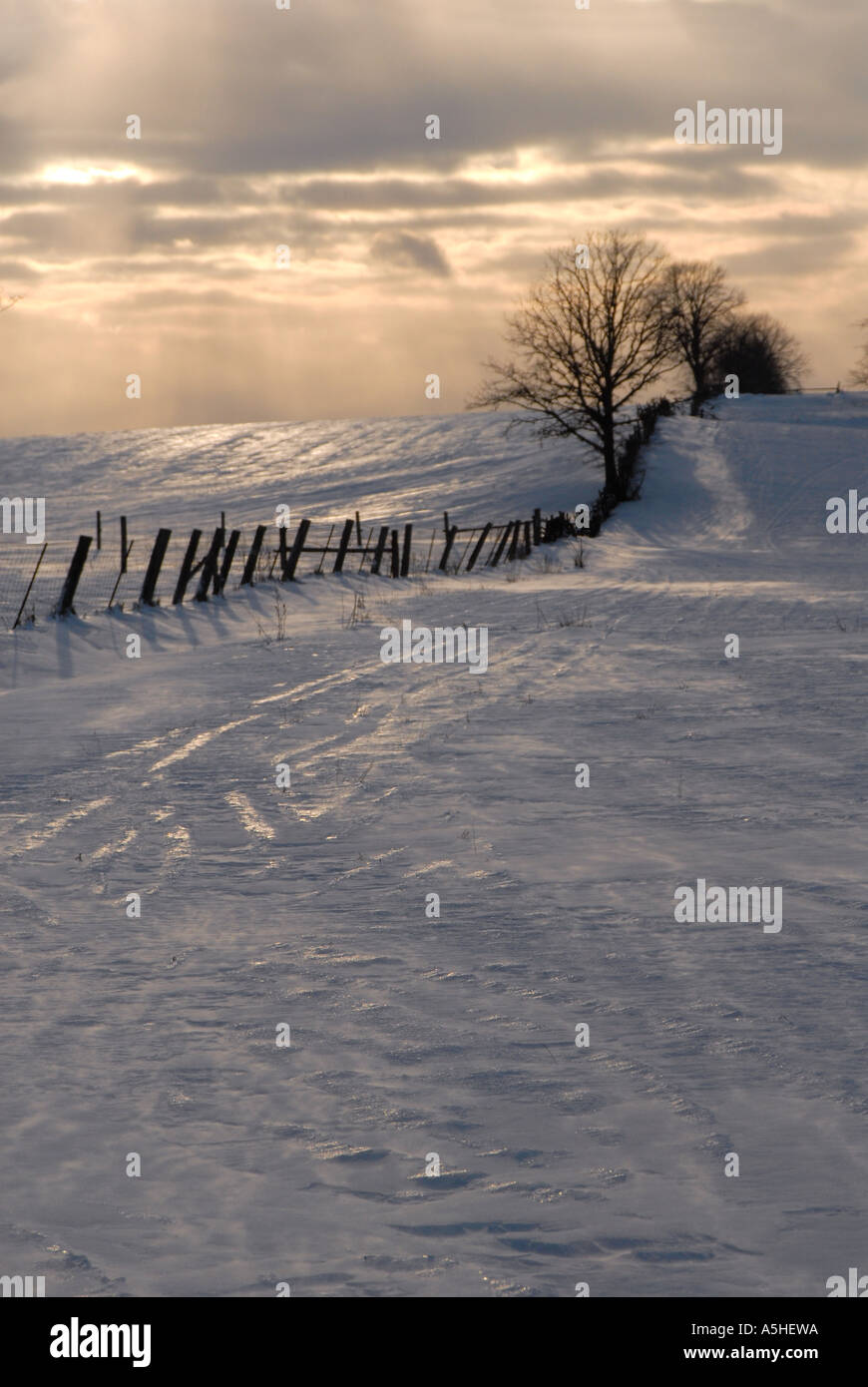 picturesque winter scenery Stock Photo