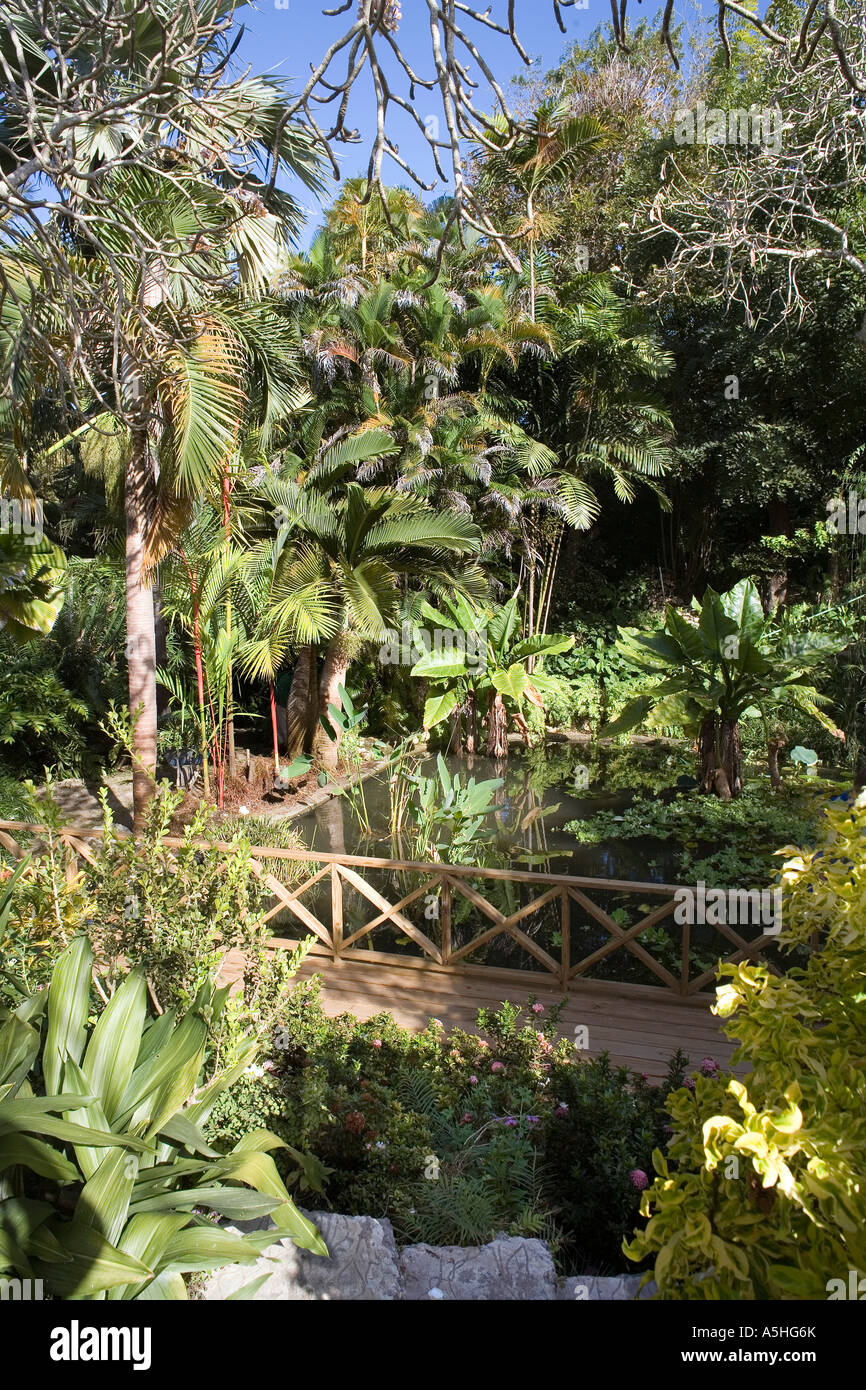 The Andromeda Gardens In Barbados Stock Photo 11317002 Alamy