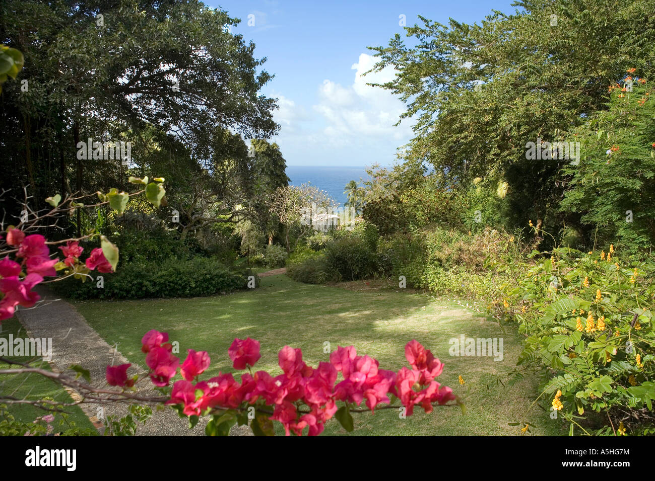 The Andromeda Gardens In Barbados Stock Photo 11317015 Alamy