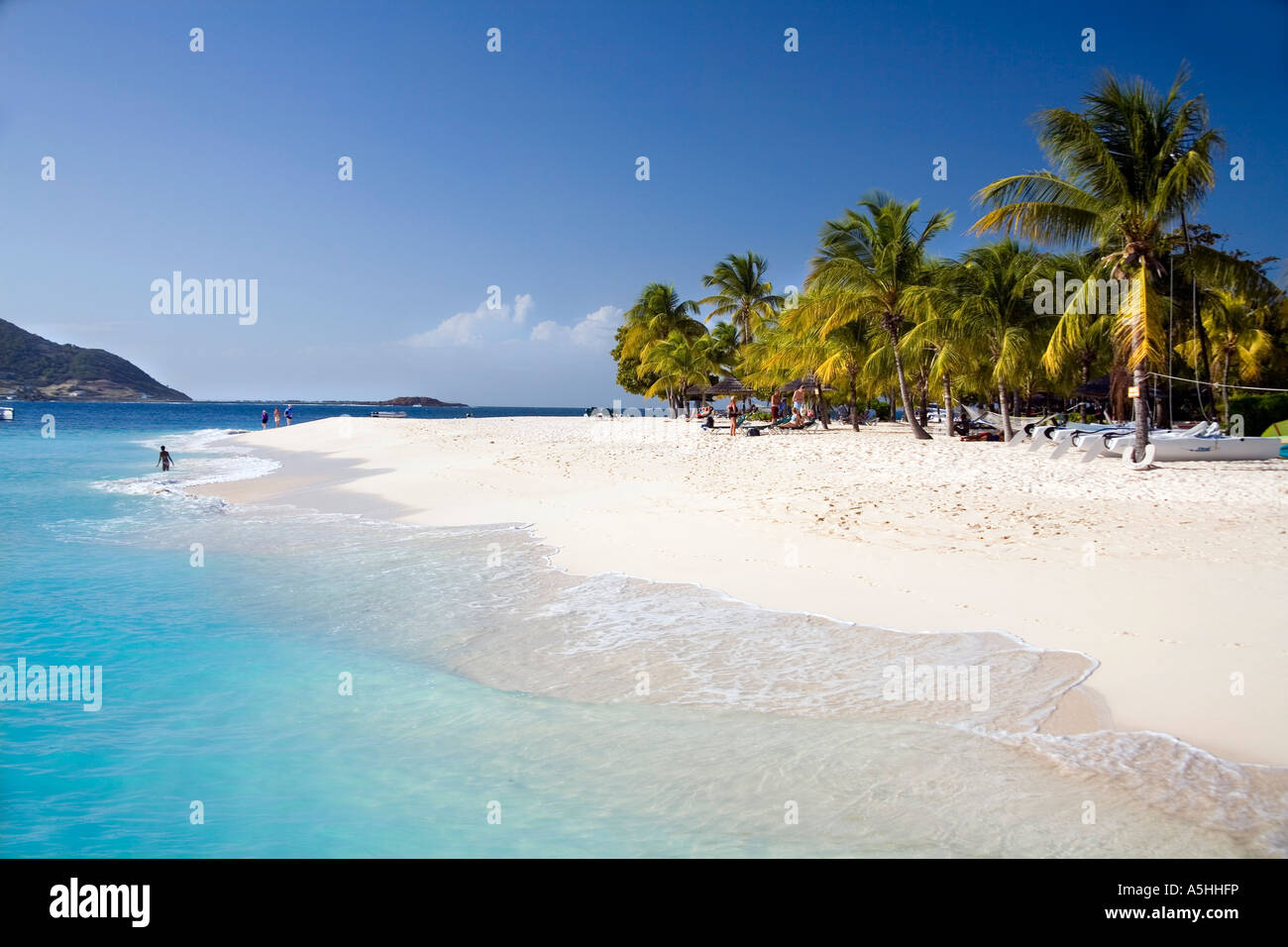 Stunning beach at Palm Island in the Grenadines Caribbean Stock Photo