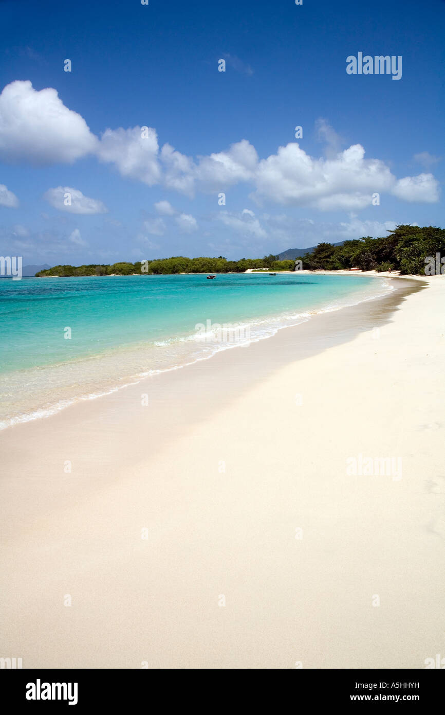Paradise Beach Carriacou Grenadines Caribbean Stock Photo