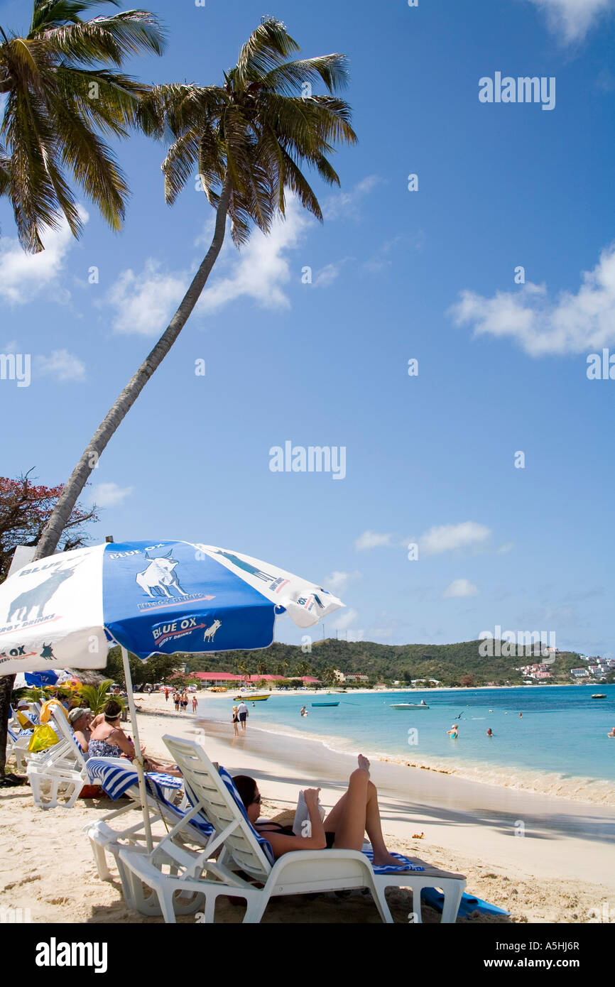 Fabulous Grande Anse Beach in Grenada Caribbean Stock Photo - Alamy