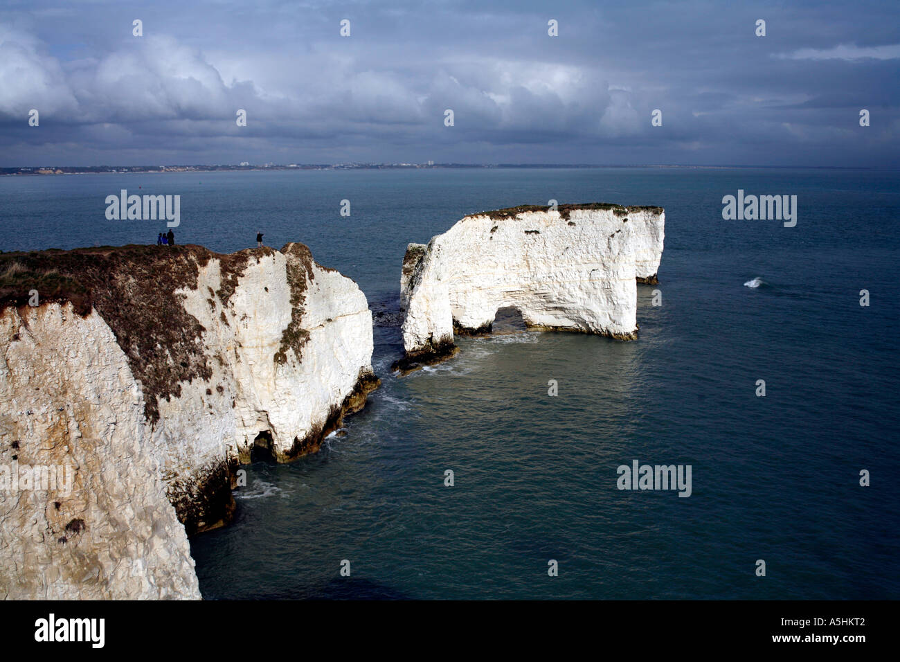 Old Harry Rocks , Studland Bay , Poole Dorset England Stock Photo - Alamy