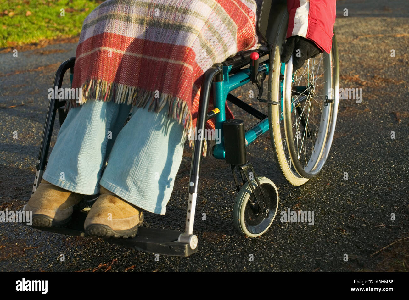 Woman disabled person in wheelchair hi-res stock photography and images ...