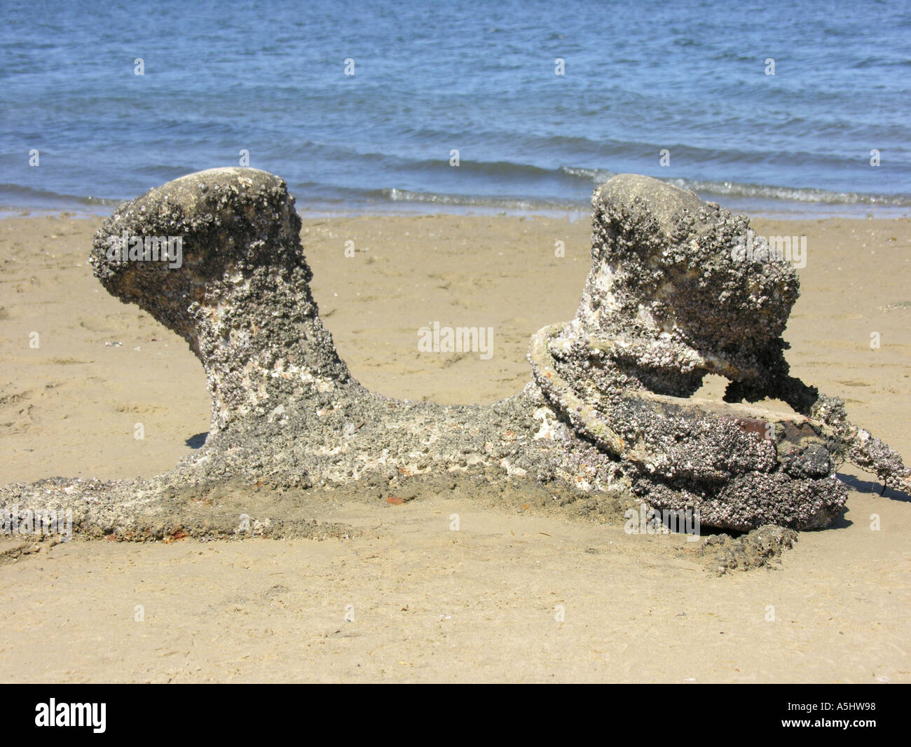 Old mooring bollards covered with barnacles dacaying on beach Stock Photo