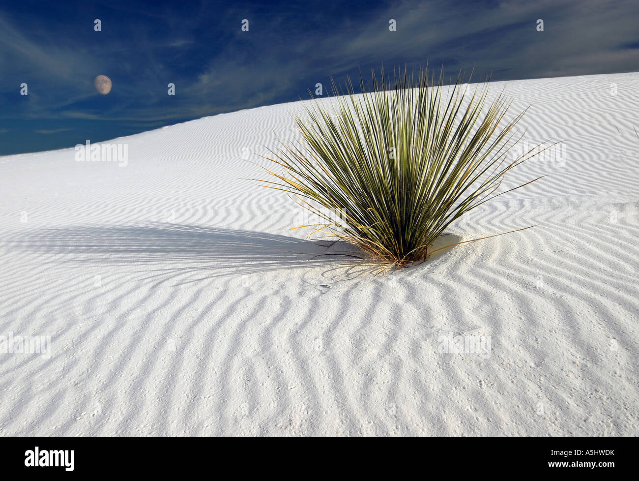Moonrise White Sands, New Mexico, Full moon Stock Photo Alamy