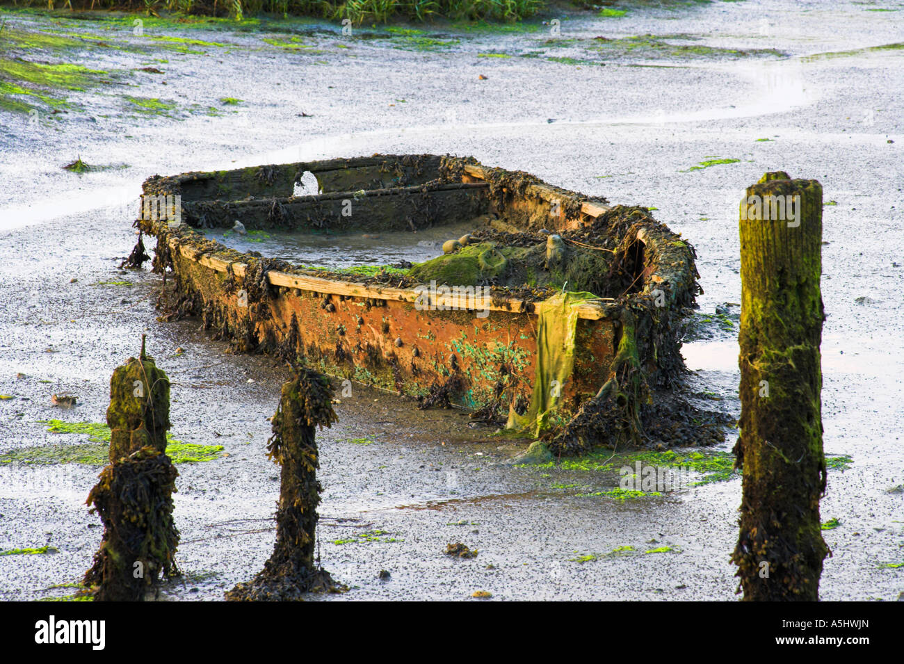 Rowing boat wreck at Bosham Harbour wallowing in mud Stock Photo