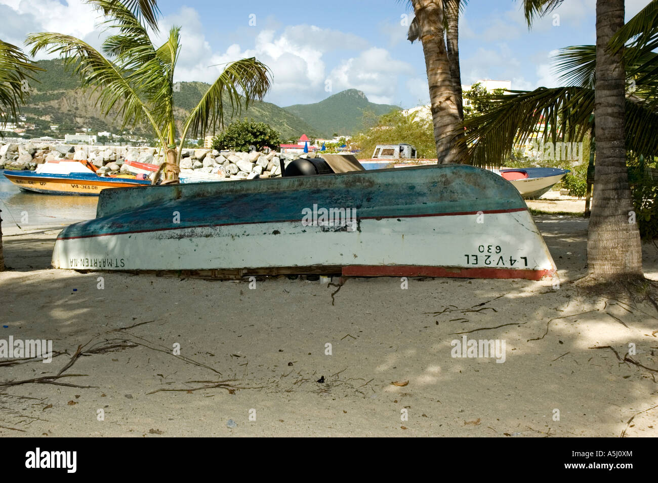 Upturned tree on beach hi-res stock photography and images - Alamy