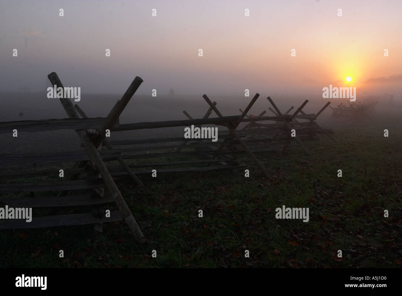 Fencerow and morning mist Stock Photo