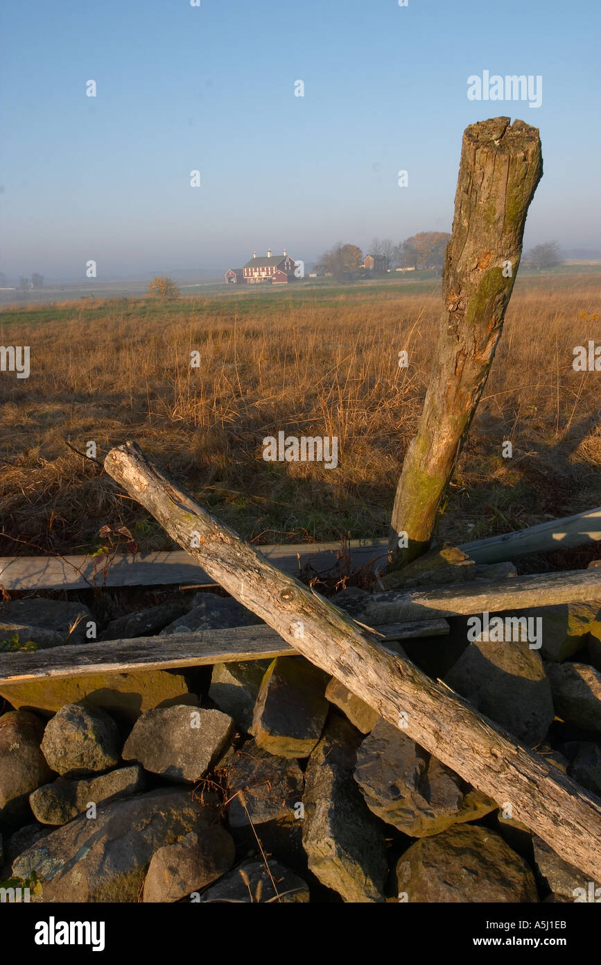 Fencerow and morning mist Stock Photo