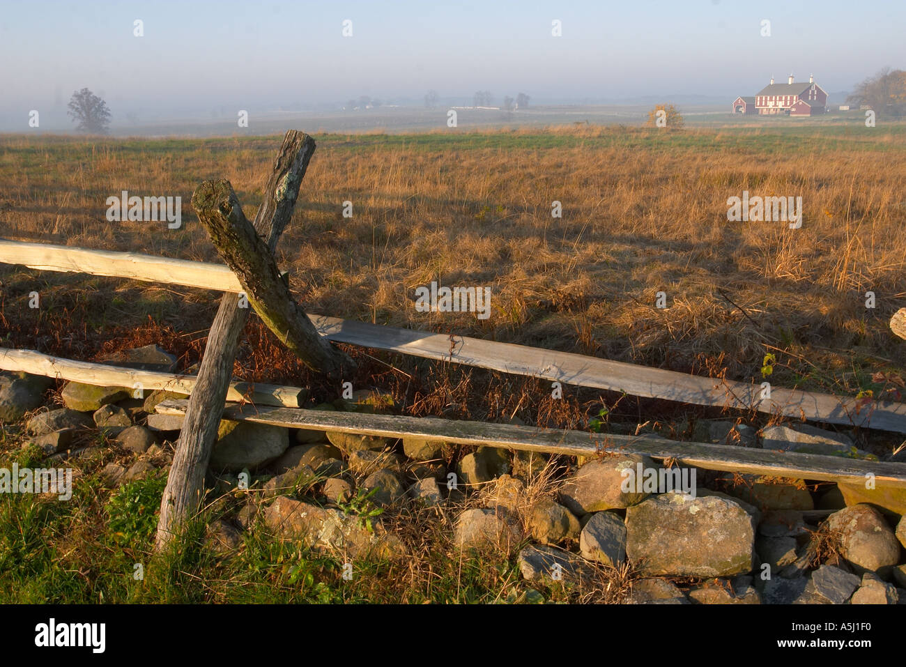 Fencerow and morning mist Stock Photo