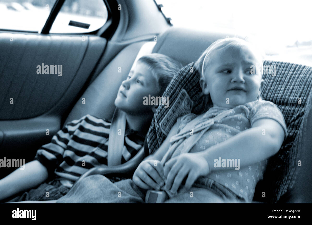 Children in backseat Stock Photo
