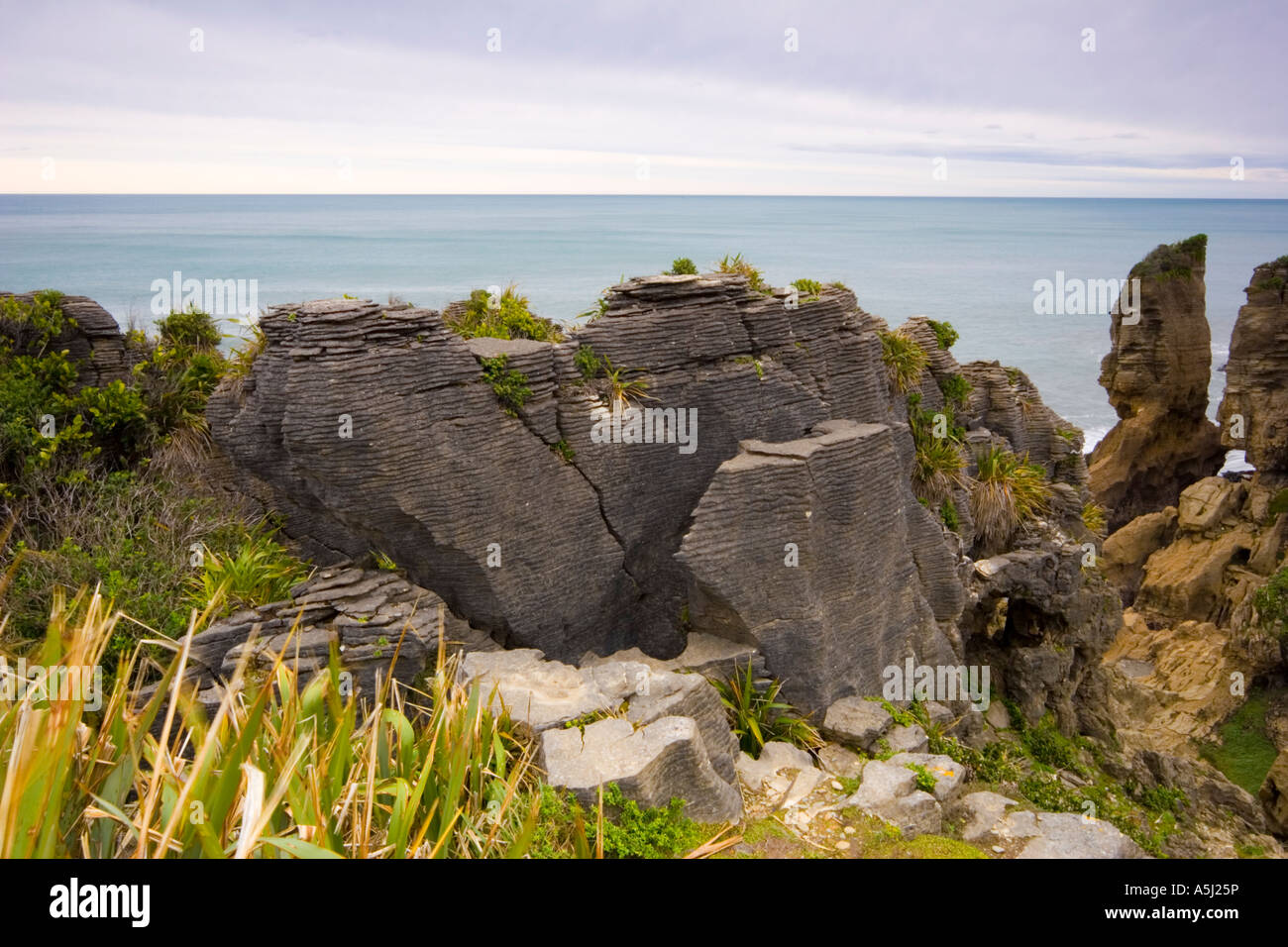 Pancake Rocks Punakaiki South Island New Zealand Stock Photo - Alamy