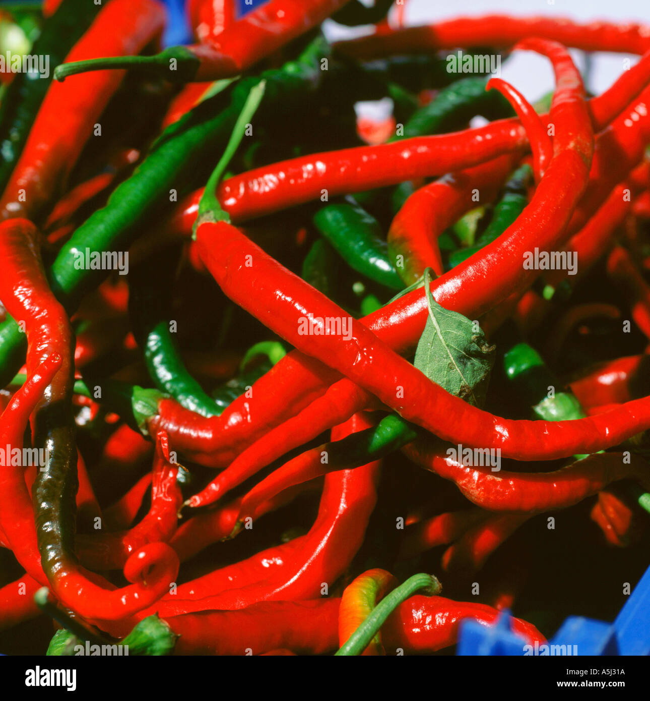 Hot green chillies hi-res stock photography and images - Alamy