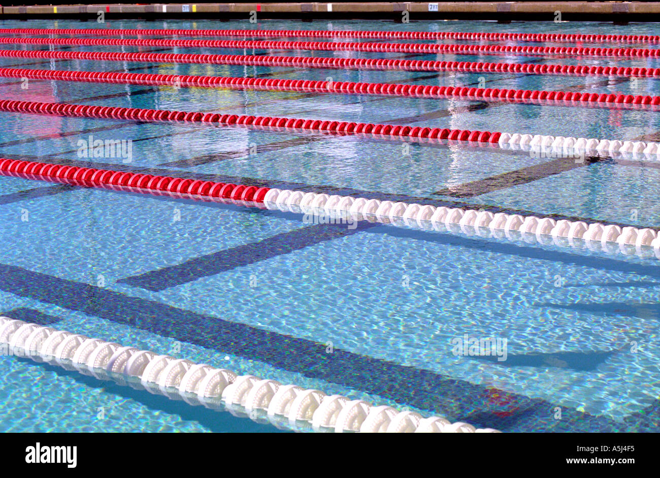 swimming pool with racing lane markers Stock Photo - Alamy