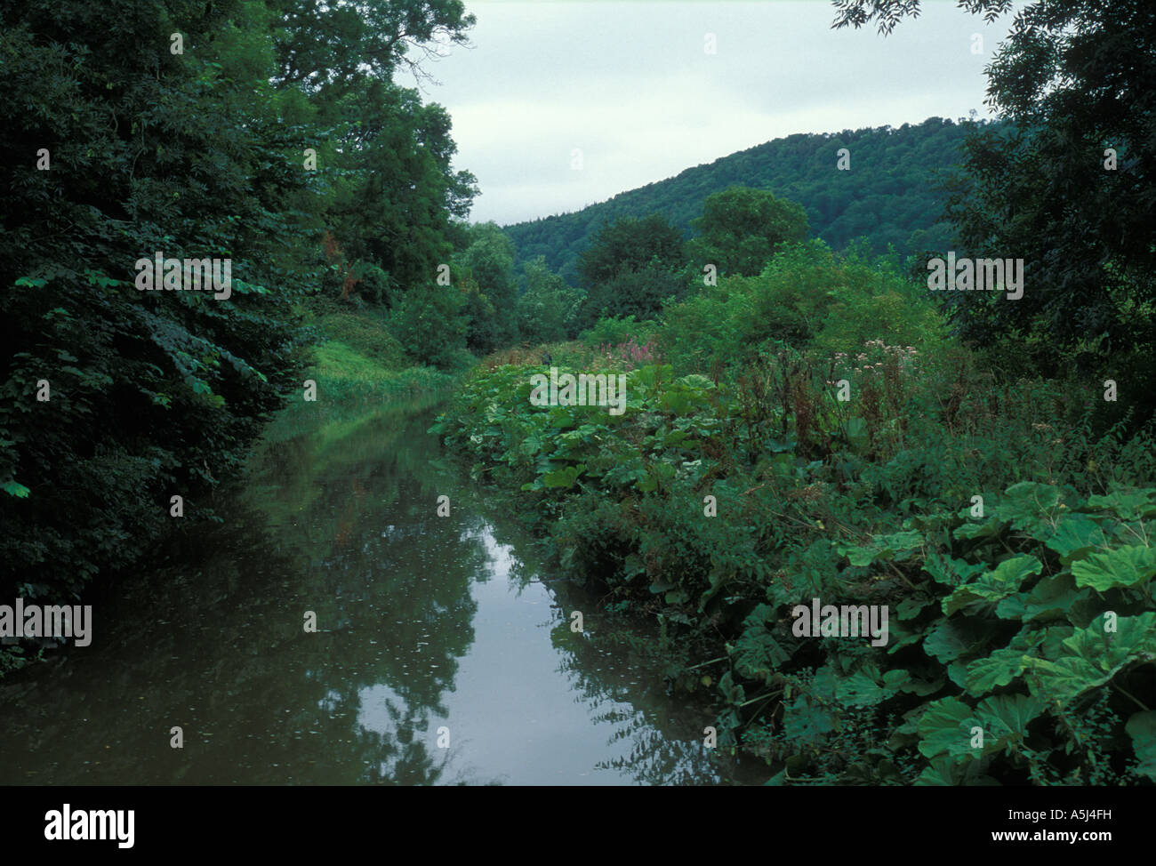 River Avon near Bath, UK Stock Photo Alamy