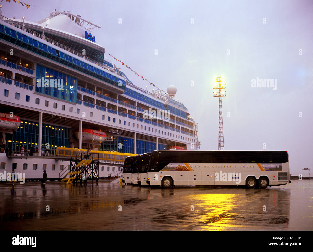 Royal Celebrity Tours motorcoaches lined up on the dock in Seward Stock Photo