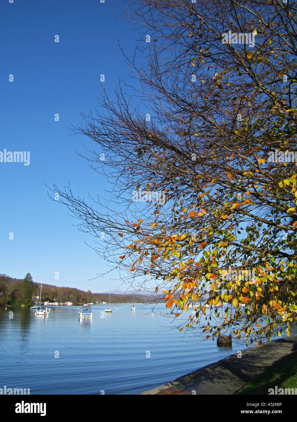 Fell Foot Park, Newby Bridge, Ulverston, Lake Windermere, The Lake District, Cumbria, England UK Stock Photo