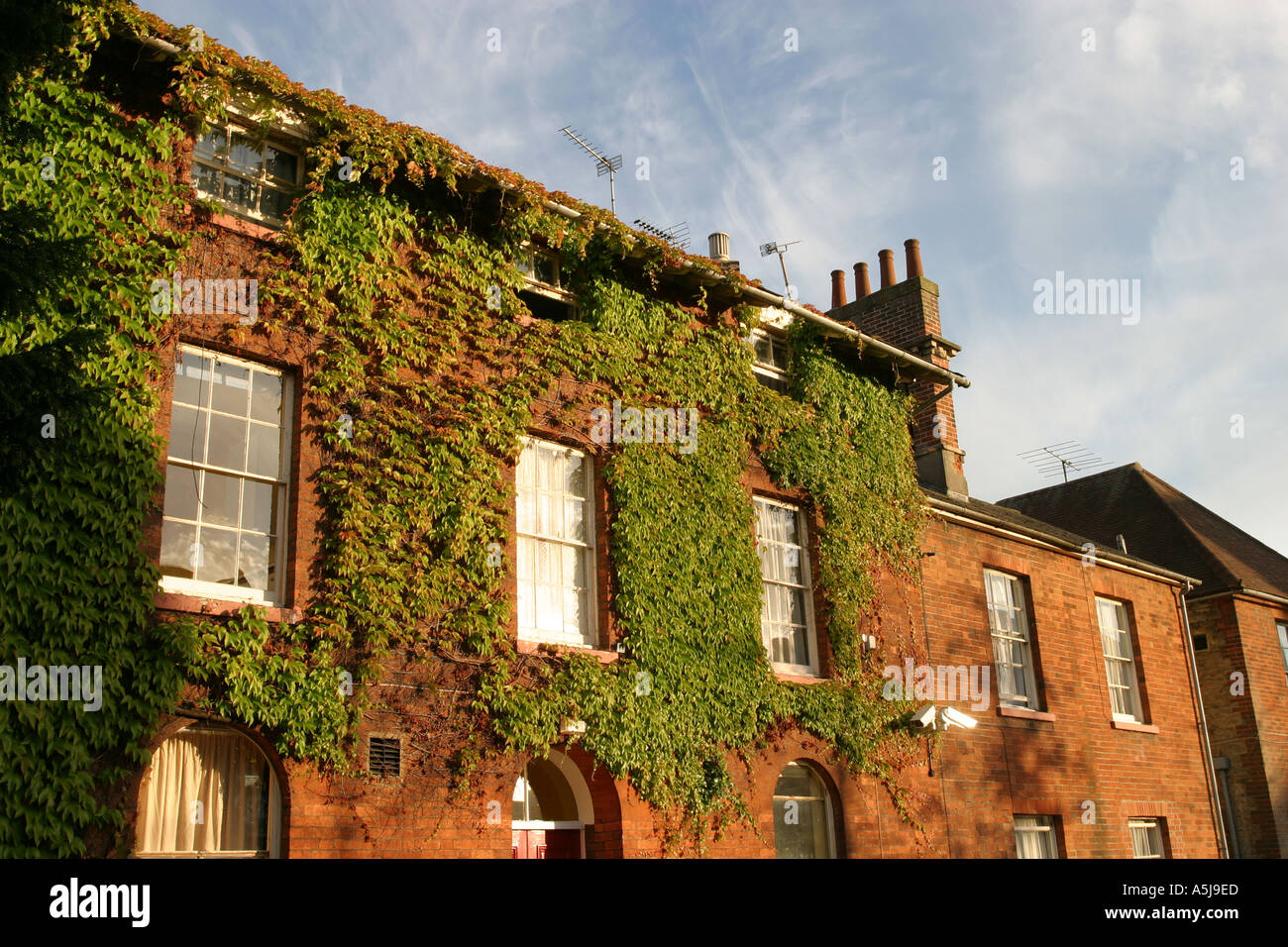 Intriguing Ivy Interesting ivy clad red brick house in Old Town Swindon Stock Photo ...