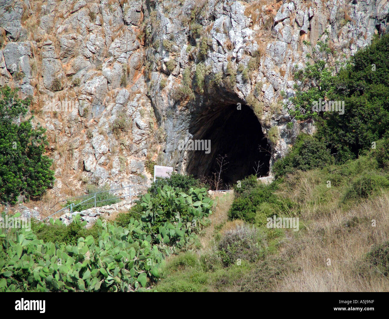 The caves of mount Carmel Israel Stock Photo - Alamy