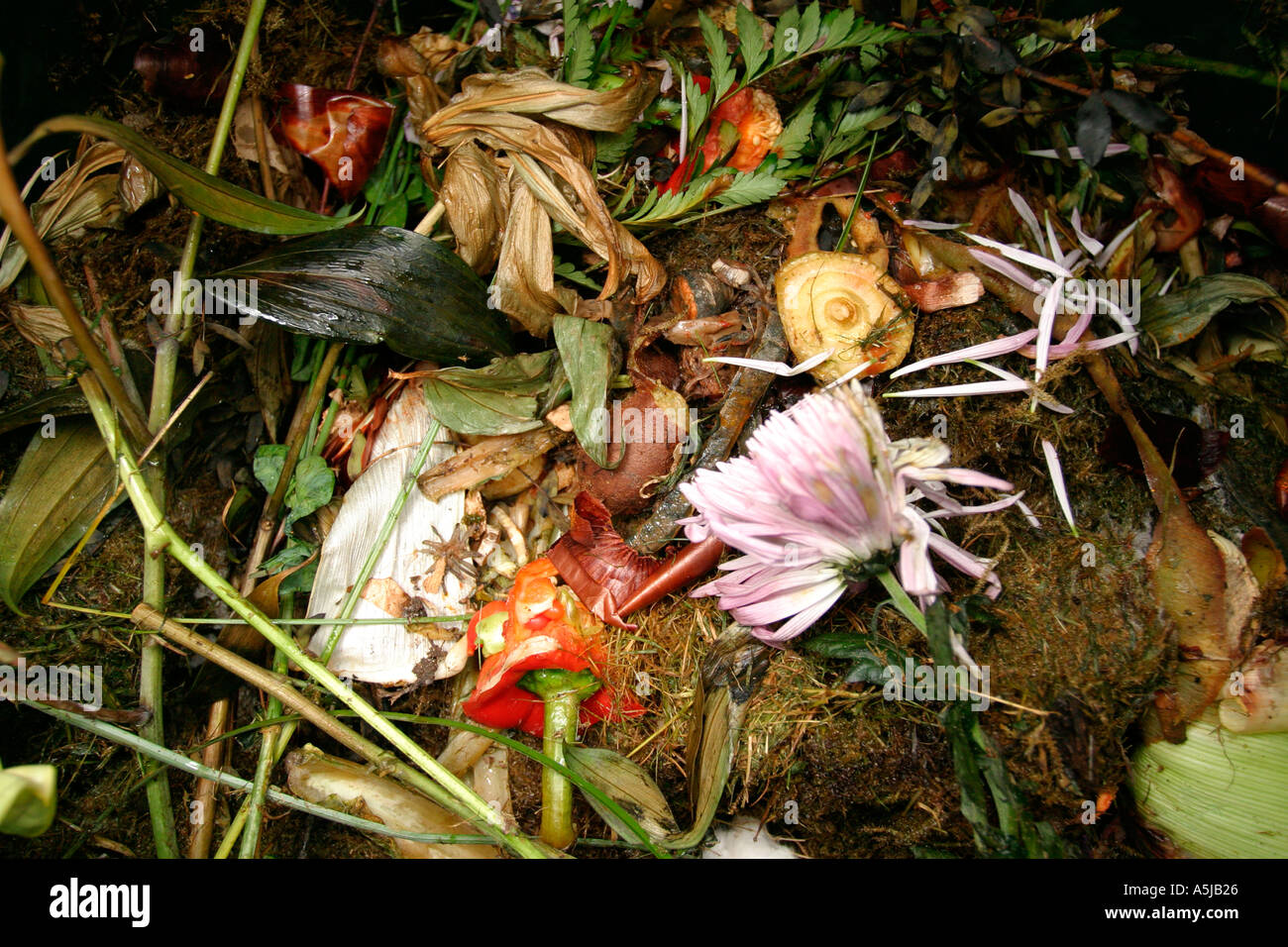 Contents of a smelly compost heap Stock Photo Alamy