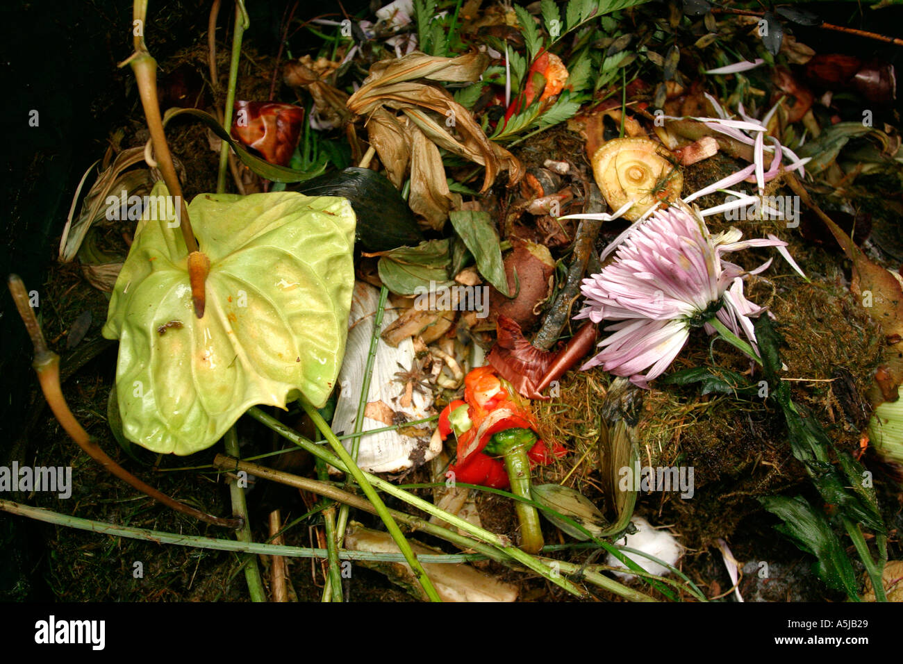 images Smelly Compost Bin contents of a smelly compost heap stock photo alamy