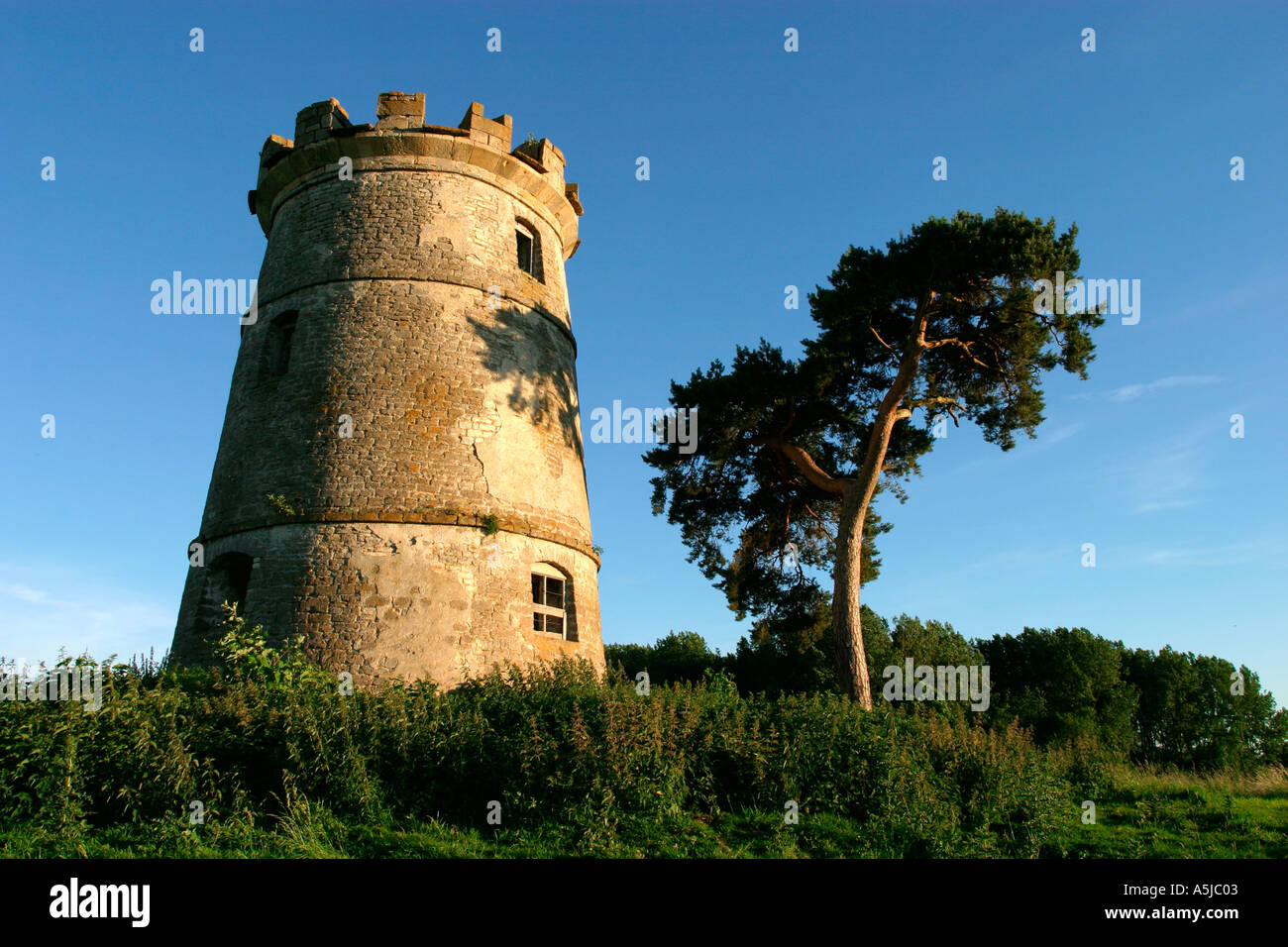 Derelict windmill with cedar tree and power lines Stock Photo