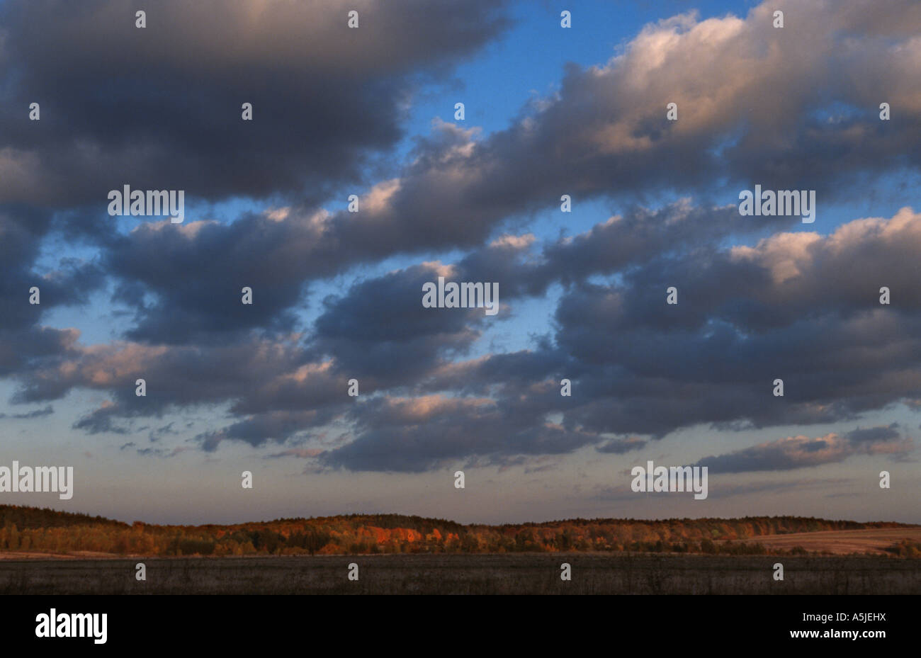 Roztocze region in south east Poland Stock Photo Alamy