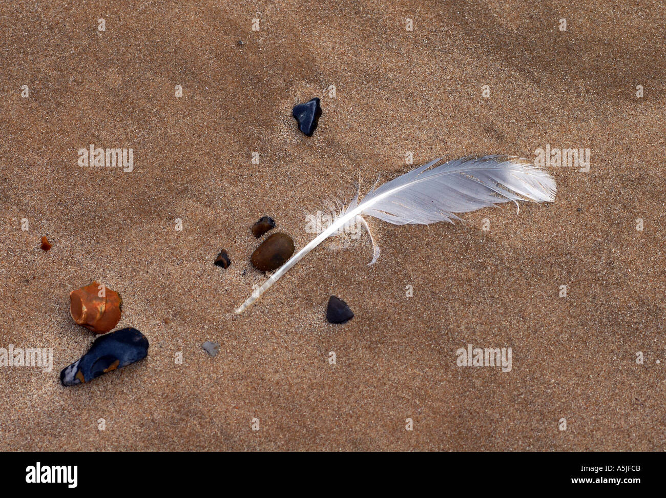 Feather on beach hi-res stock photography and images - Alamy