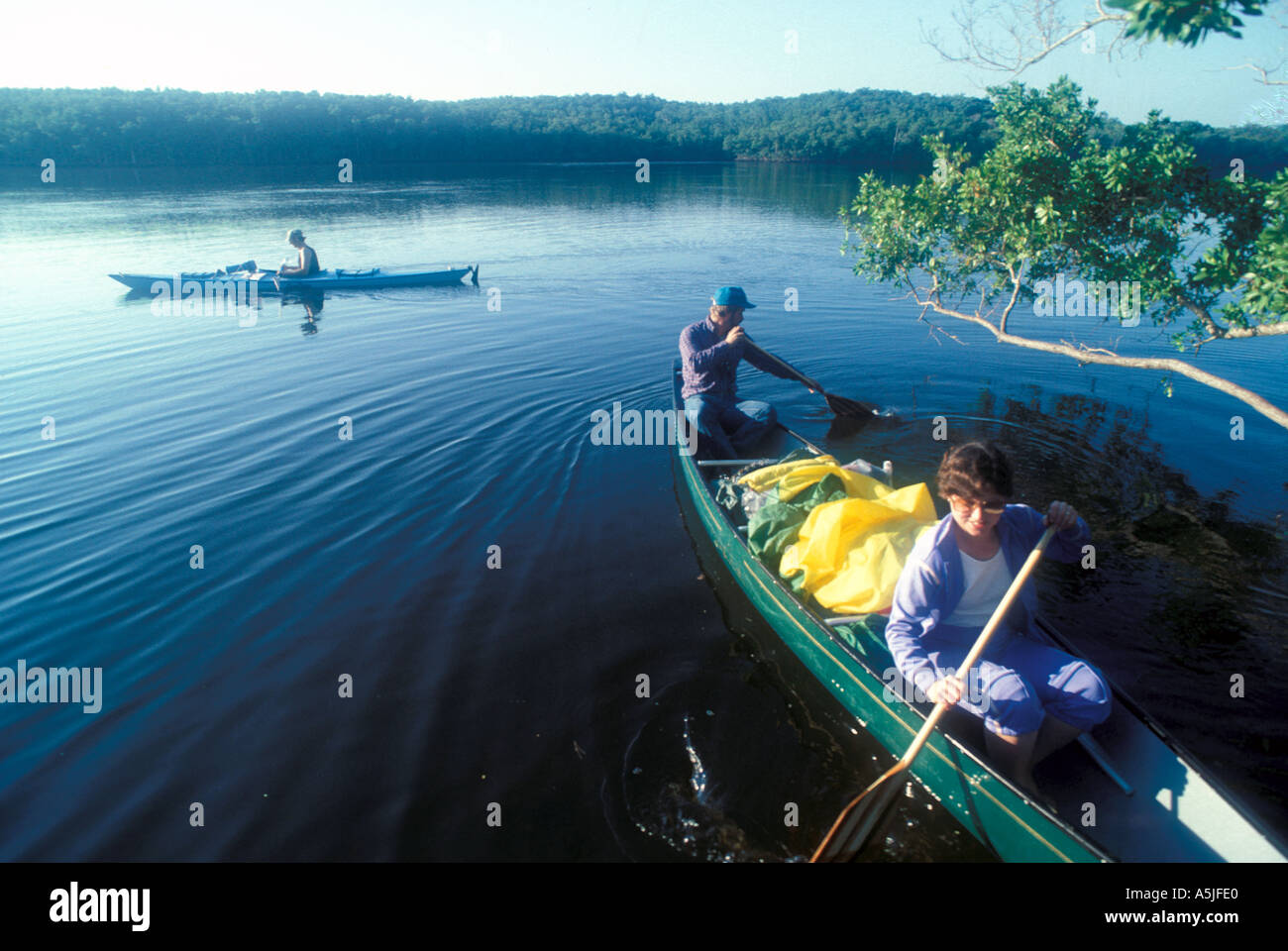Florida Everglades National Park kayaking the Wilderness Waterway Stock
