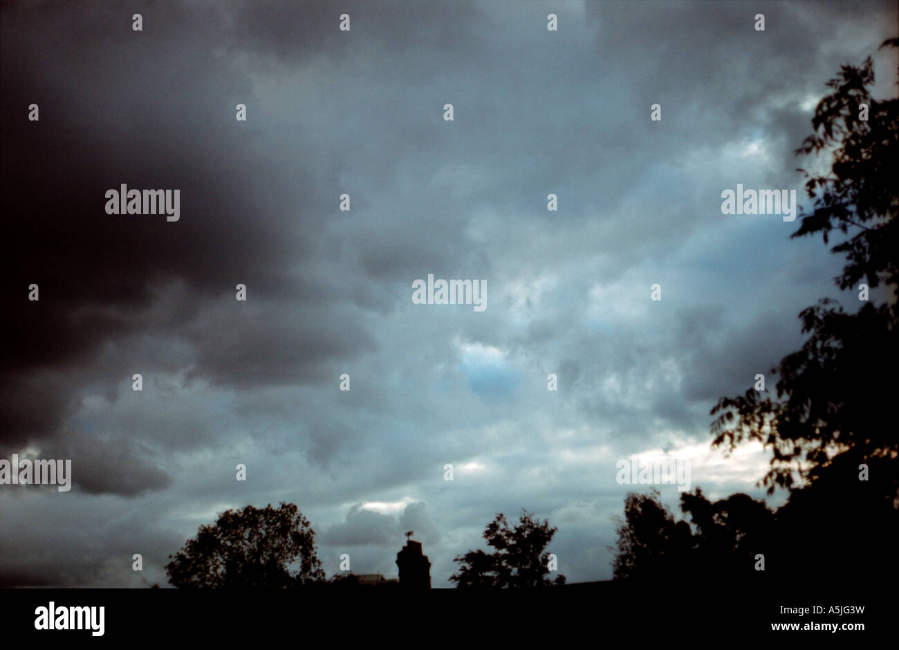 Storm clouds and trees Stock Photo - Alamy