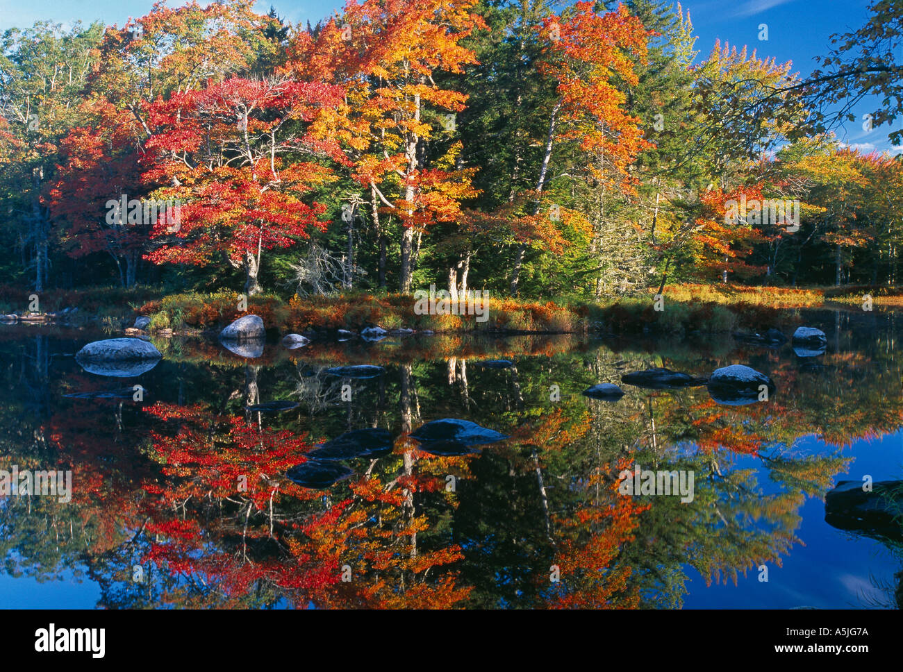 autumn colours lining the banks of the Mersey River nr Kejimkujik ...