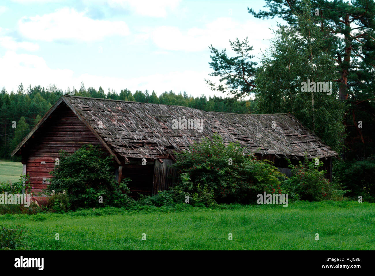 old barn in middle Finland Stock Photo - Alamy