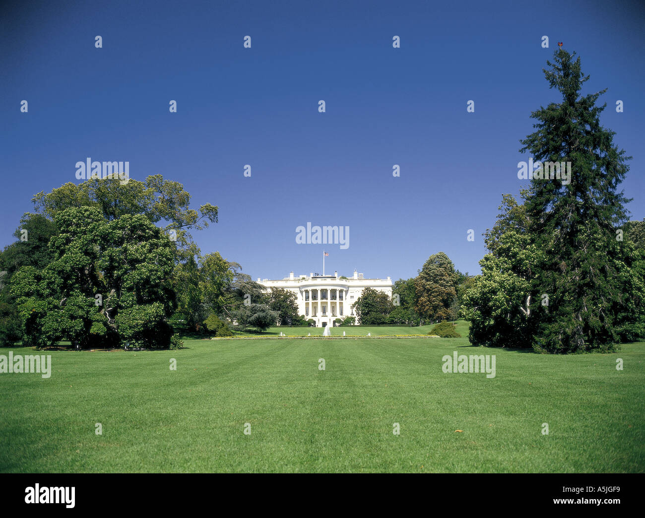 The White House, Washington DC, USA Stock Photo - Alamy