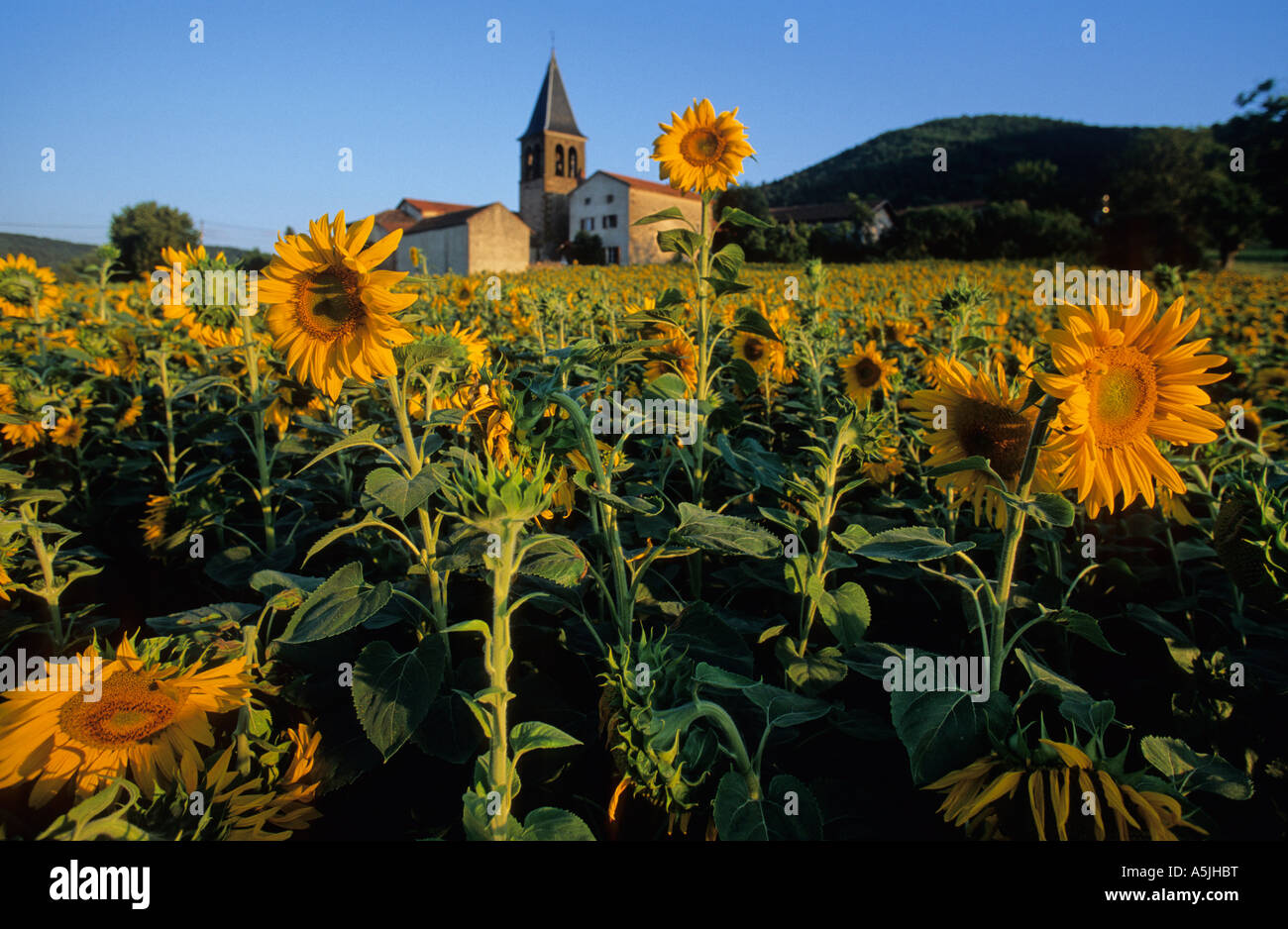 Village in Auvergne. France Stock Photo